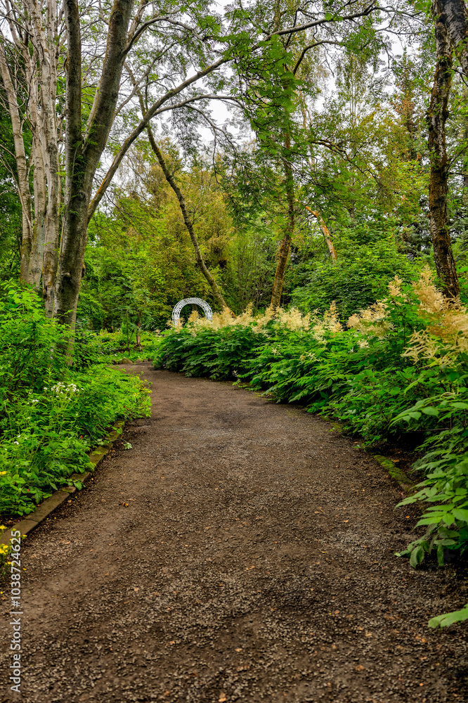 Fototapeta premium Akureyri, Iceland - August 9, 2024: Landscapes in the botanical gardens of Akureyri, Iceland 