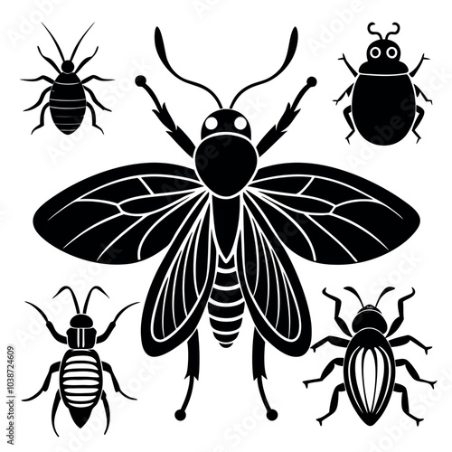 Insect silhouette image vector illustration.
