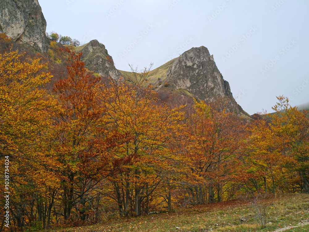 Panoramic view of the summit of Mount Pozzoni in Lazio region during autumn day of october, Italy Panoramic view of the summit of Mount Pozzoni in Lazio region during autumn day of october, Italy