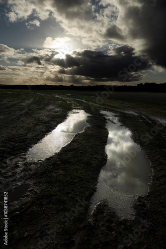 Sunset behind puddles on farm track, Berkshire, UK