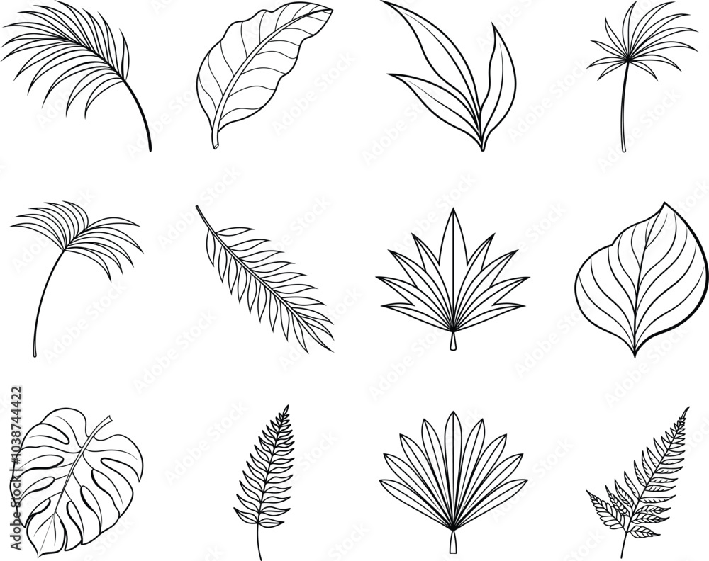 Obraz premium Tropical Leaf Outline Illustrations Set Design