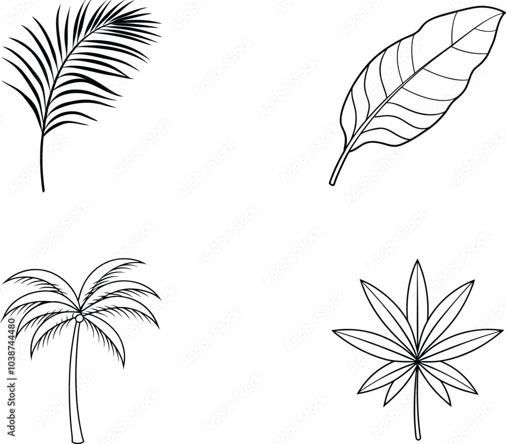Obraz premium Tropical Leaf and Palm Tree Outline Illustrations