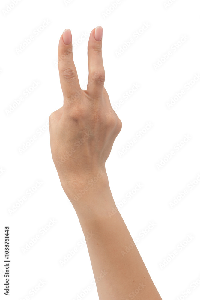 Woman hands with nude manicure isolated on a white background. Woman hands with nude manicure isolated on a white background.
