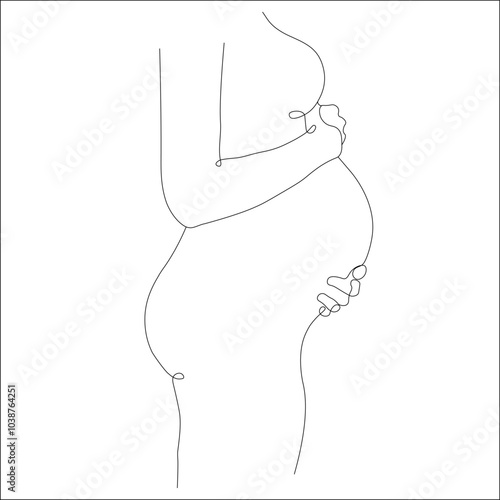 Continuous line drawing of a pregnant woman's belly. Vector illustration. Single line continuous drawing of pregnant women's and concept international mother day, women's day outline