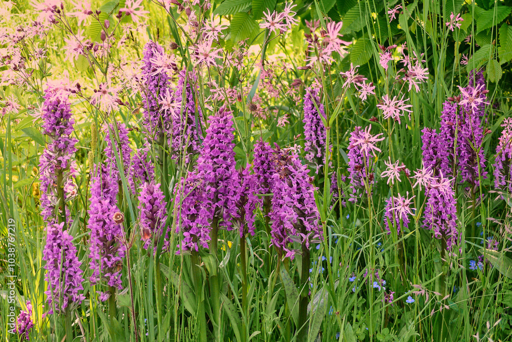 Fototapeta premium garden in an ecologically desirable way 