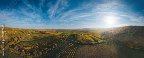 Foto Aerial drone view of colorful vineyards fields in the Austrian Weinviertel regio
