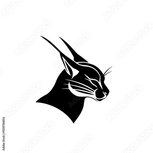 Caracal