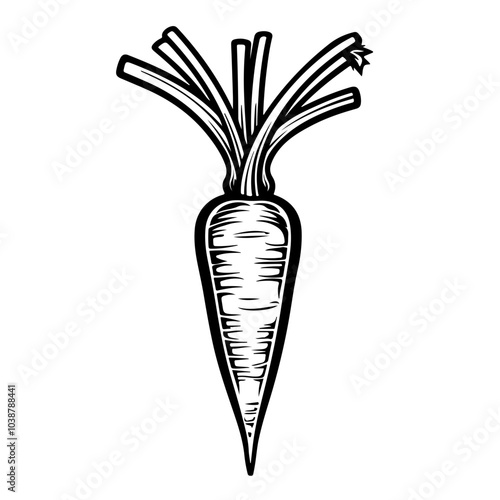 Carrot