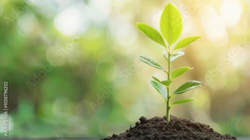 Investment Tree, a seedling transforms into a robust tree adorned with various currency leaves, symbolizing growth, prosperity, and the interconnectedness of the global economy.