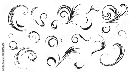 Set of vector black swirls on a white background,