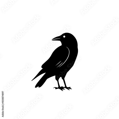 Crow