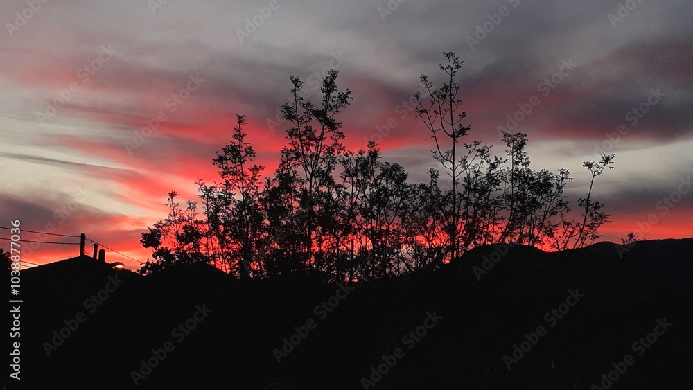 Degli alberi di fronte a un tramonto infuocato.
