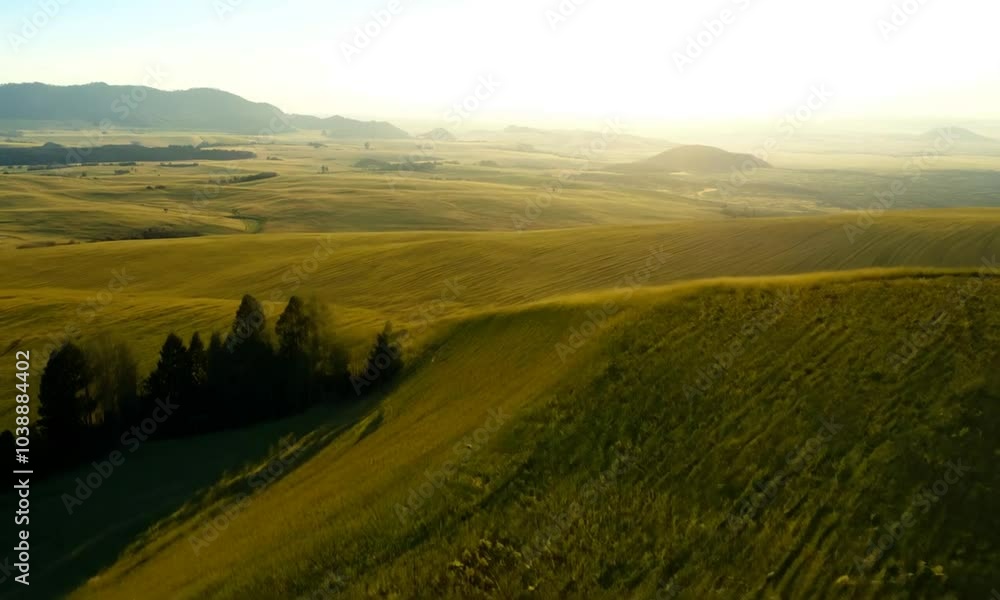 An endless meadow filled with blooming grasses and vibrant flowers creates a peaceful and picturesque landscape An endless meadow filled with blooming grasses and vibrant flowers creates a peaceful and picturesque landscape