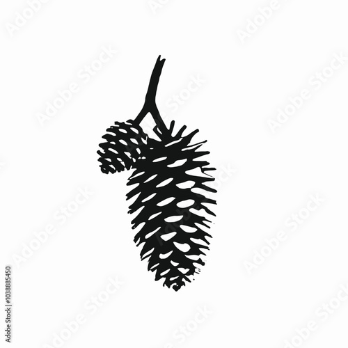 Pine Cone vector silhouette, isolated white background