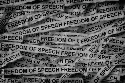Strips of newspaper with the words Freedom of speech typed on them. Black and white. Close up.