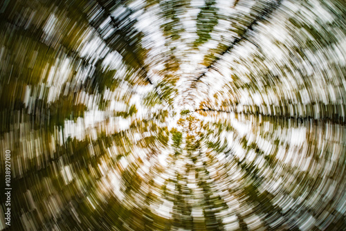 An Abstract Representation of Circular Motion Within a Lush Forest Canopy Space