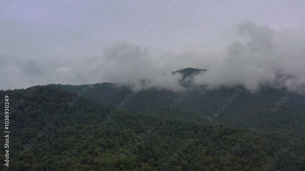 View from above of the wooded valley View from above of the wooded valley