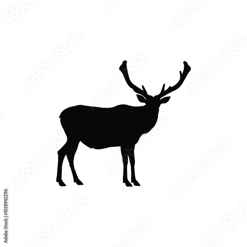 silhouette of deer