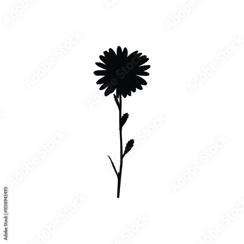 Wallpaper Mural silhouette of dandelion Torontodigital.ca