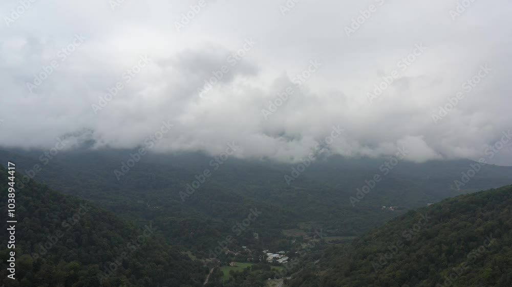 View from above of the wooded valley View from above of the wooded valley