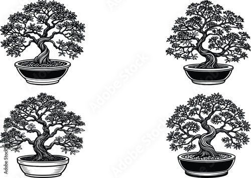 set of bonsai trees