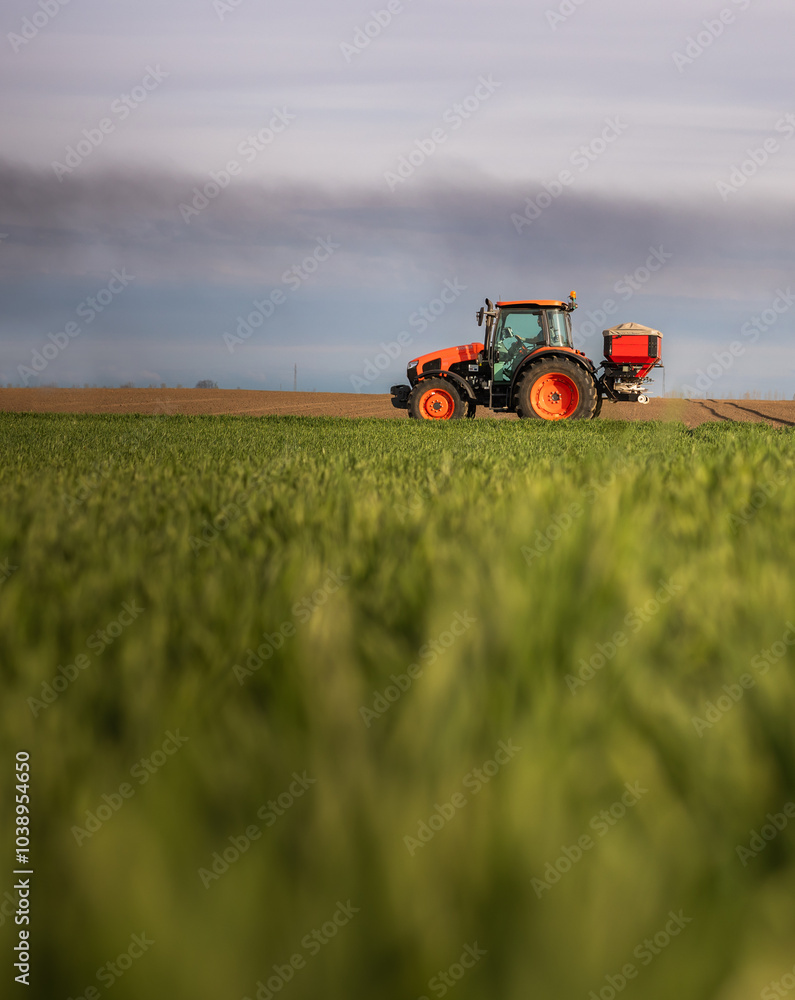 Fototapeta premium Farmer fertilizing arable land with nitrogen fertilizer