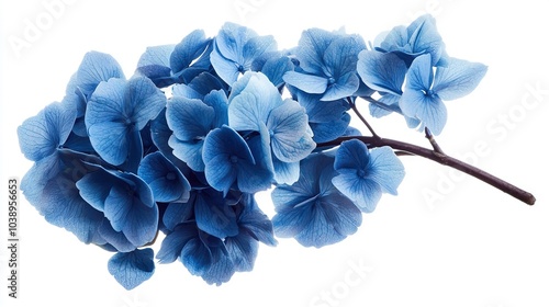   A close-up shot of a branch adorned with blue flowers at its tip and a solitary blue flower stem attached to it
