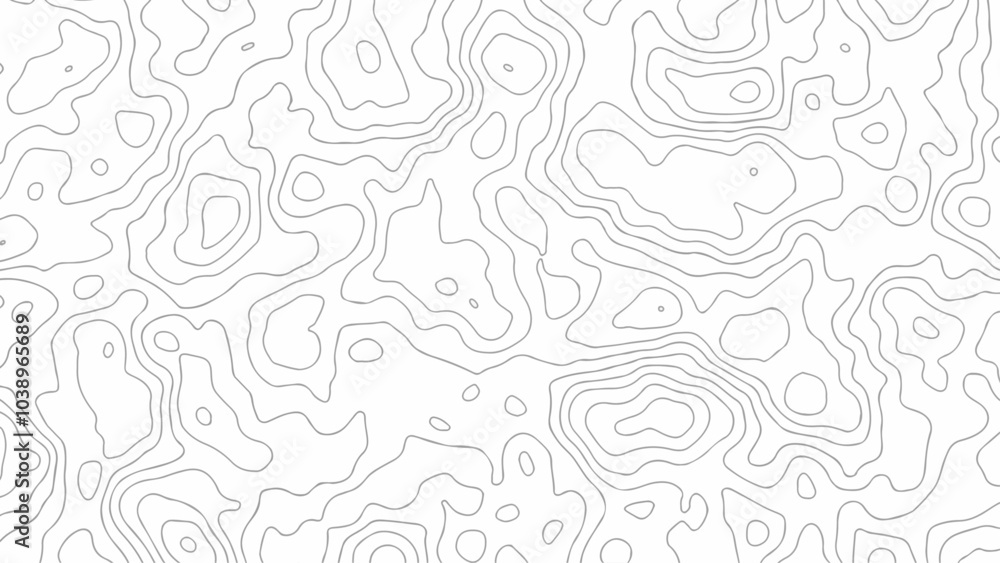 Topographic map background geographic line map with seamless ornament design. Topographic map background geographic line map with seamless ornament design.