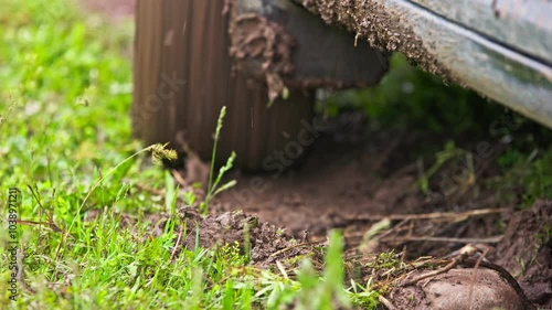 Wallpaper Mural car tire slipping while stuck in a dirt, heating up and steaming in attempt to get free, closeup with selective focus Torontodigital.ca