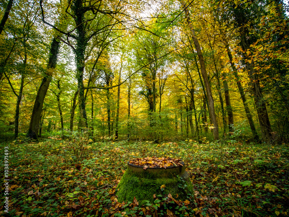 Fototapeta premium Herbstliches Laub auf einem Schacht im Wald