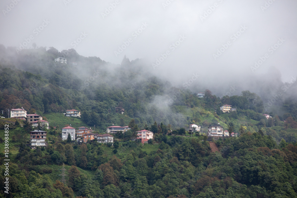 Fototapeta premium Misty Hills of Çayeli, Rize, Turkey – Traditional Houses and a Mosque Surrounded by Greenery in the Turkish Countryside