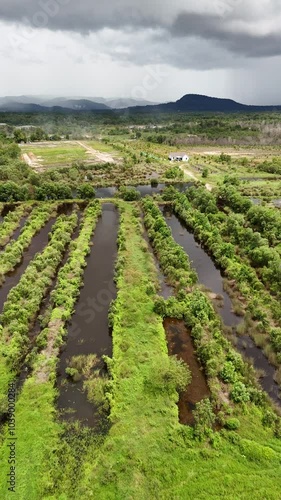 vineyard. Asia Fly 4k60. Vietnam. beauty island