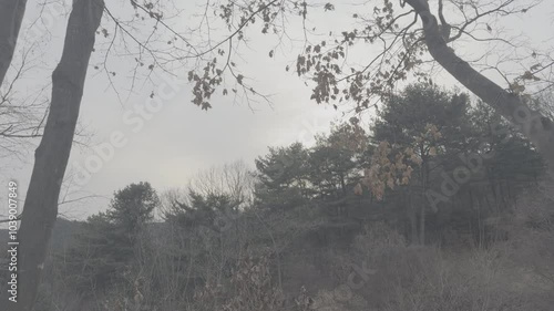 4k, vlog, 10Bit, camping