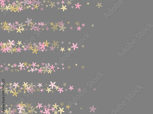 Snow-In-Summer minimal flowers vector design. Lovely meadow bloom elements is...