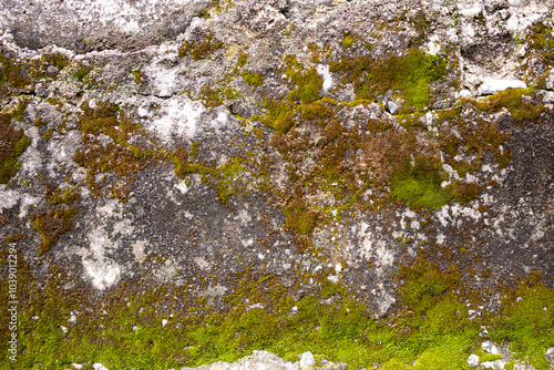 Textura de materiales naturales de piedra y musgo