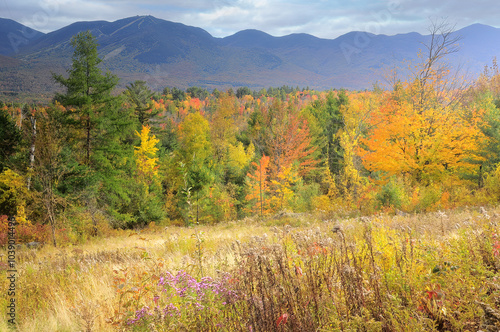 Autumn scene in White Mountains of New Hampshire. Hillside of colorful fall foliage with Cannon Mountain (on far left) and tall peaks of Kinsman Range.