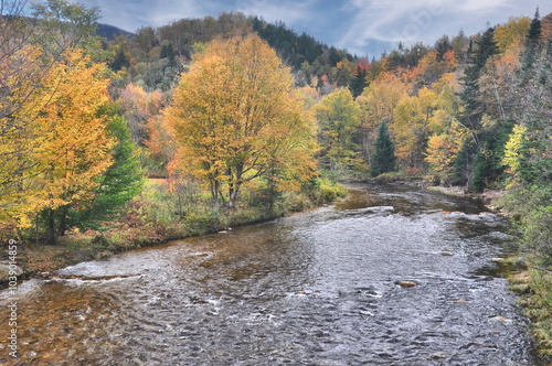 Autumn splendor in White Mountains of New Hampshire. Colorful fall foliage along bank of the Ammonoosuc River, which flows downstream from western slopes of Mount Washington.