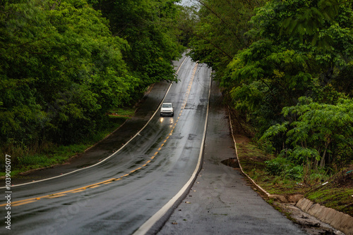 Detalhe de um trecho da Rodovia GO-326 em Anicuns, na estrada asfaltada e molhada com água de chuva, com túnel de árvores frondosas e alguns carros passando.