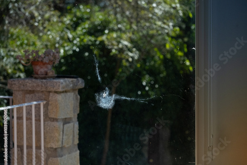 Collision mark or impact of a bird, probably a pigeon, against a large window of a country house. The bird has left its silhouette in the glass and a remnant of its feather. Attention and accident