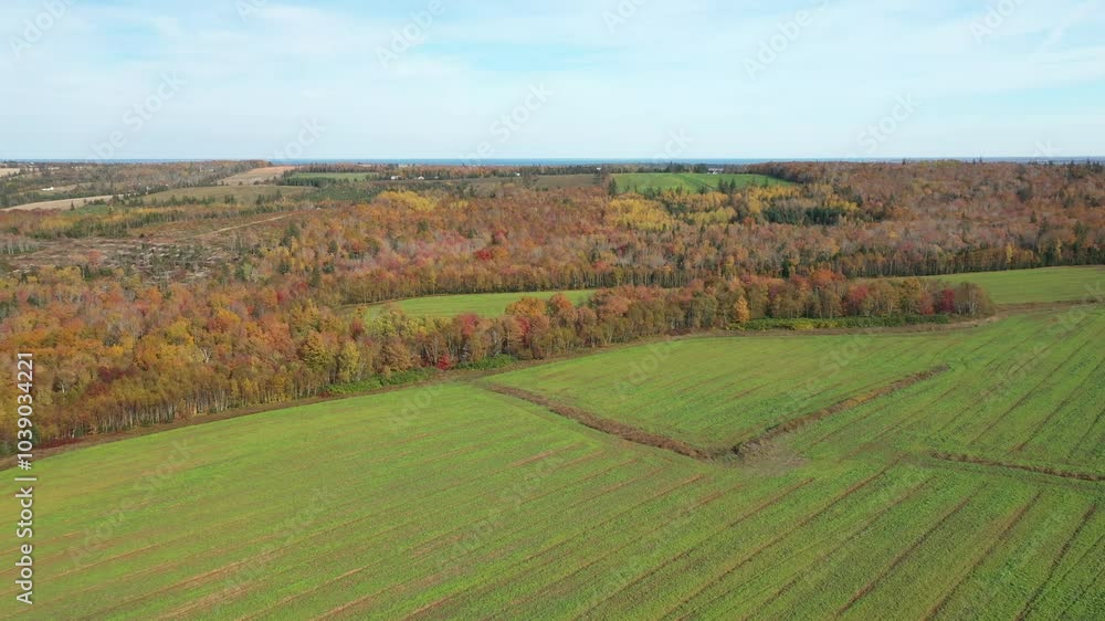 The aerial view of autumn landscapes in Prince Edward Island Canada The aerial view of autumn landscapes in Prince Edward Island Canada
