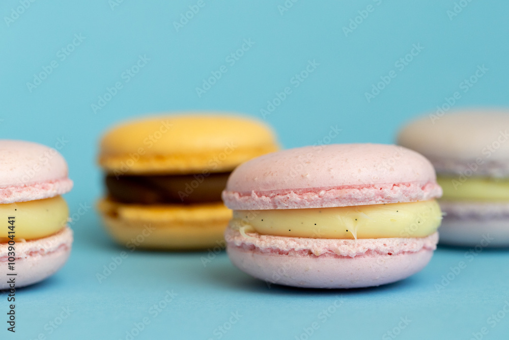 fleet of delicious almond macaroons on plain background, delicate dessert fleet of delicious almond macaroons on plain background, delicate dessert