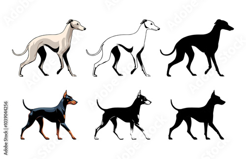 Vector Dog Hounds Profile Illustration Outline Silhouette photo