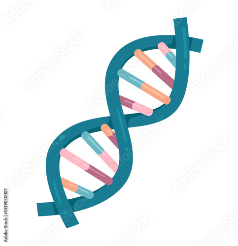 Vector illustration of spiral DNA double helix isolated on white background	