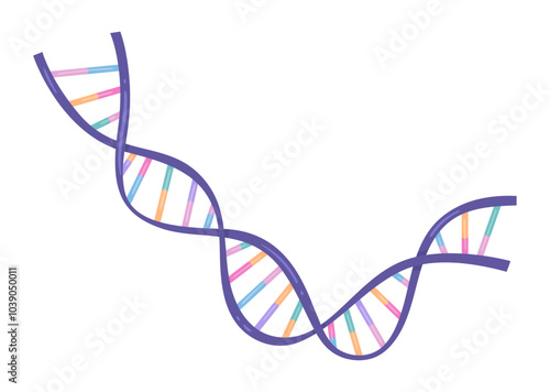 Vector illustration of spiral DNA double helix isolated on white background	