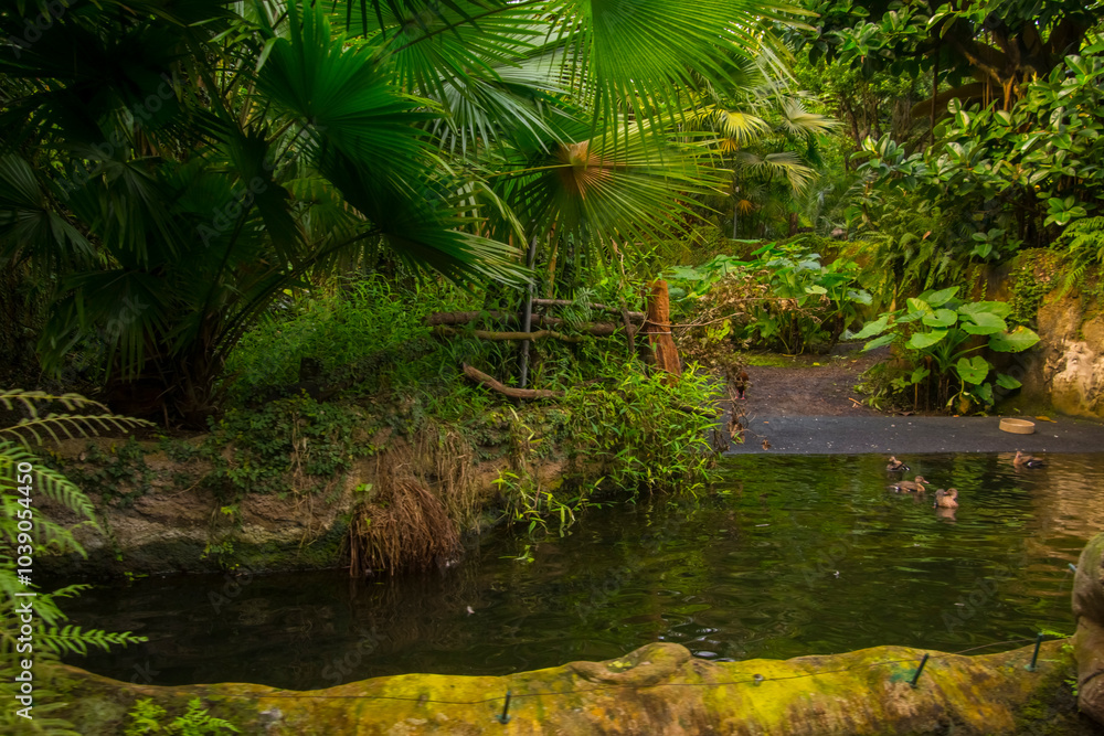 Tropical forest exhibit at Leipzig Zoo Tropical forest exhibit at Leipzig Zoo