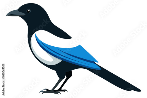 Side view of a common magpie vector art illustration