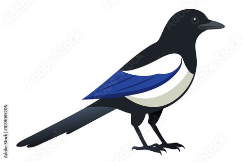 Side view of a common magpie vector art illustration