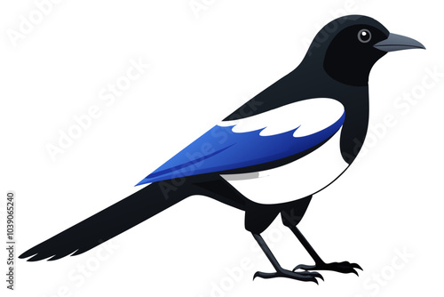 Side view of a common magpie vector art illustration