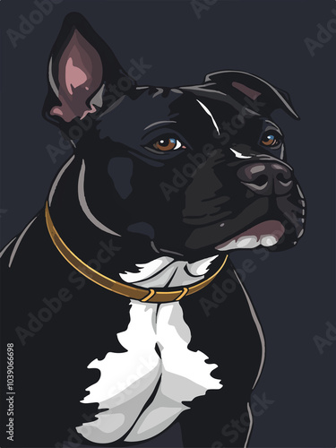 pitbul dog