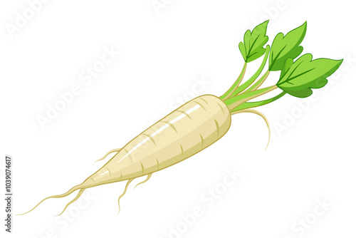 Single fresh daikon radish root isolated